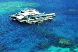 Excursions sur la Grande Barrière de Corail à prix réduits